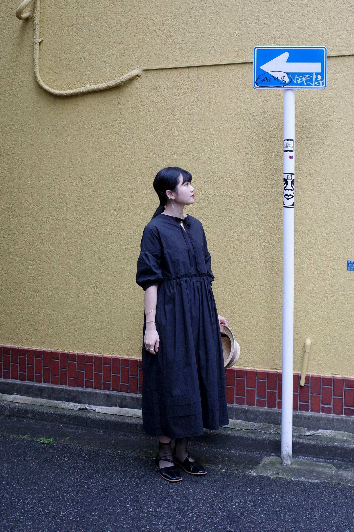 Celandine Dress - Black (Pre-Order)