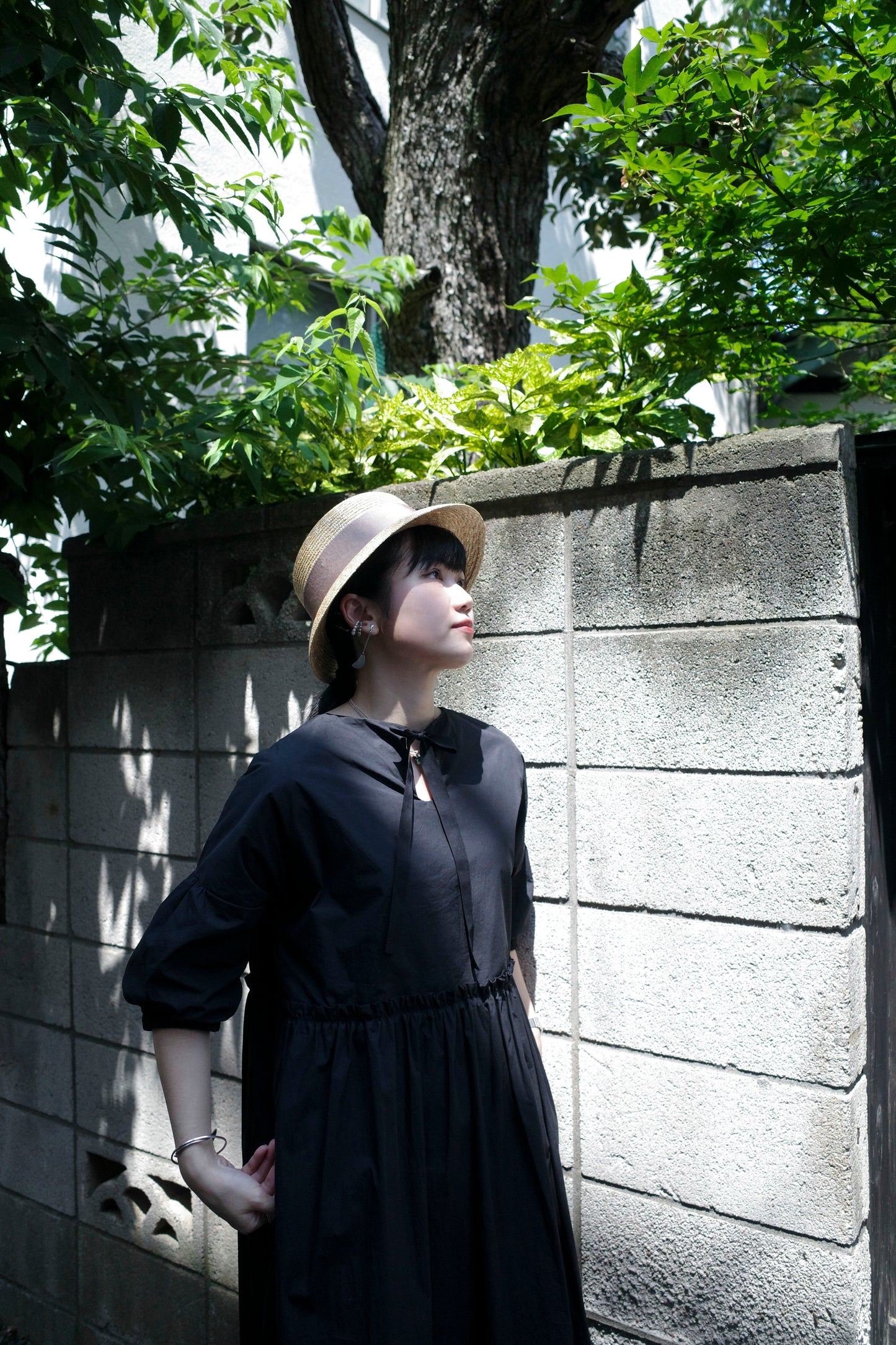Celandine Dress - Black (Pre-Order)